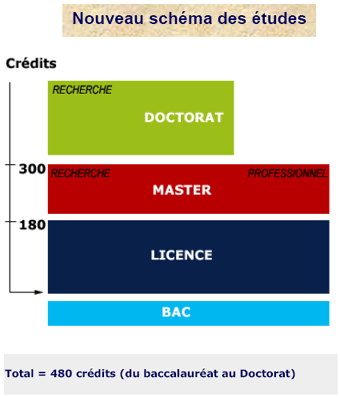 schema