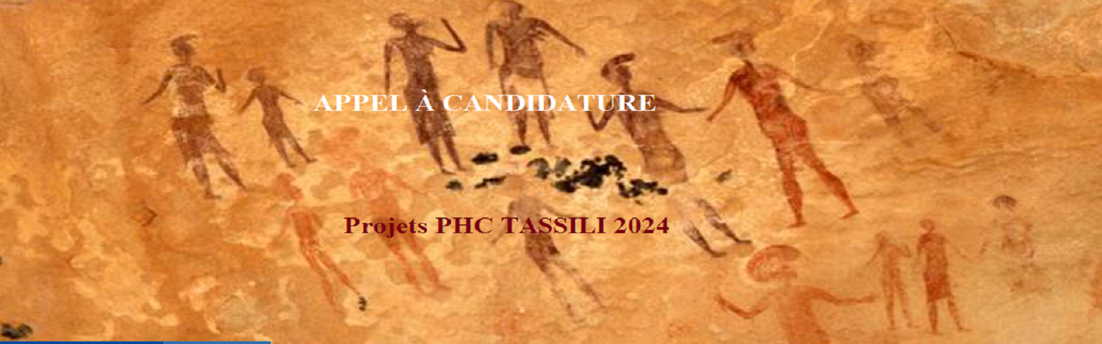 دعوة لمشاريع PHC طاسيلي + 2024